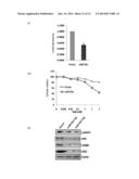 COMPOSITIONS AND METHODS FOR TREATMENT OF TAMOXIFEN RESISTANT BREAST     CANCER diagram and image