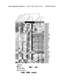 TISSUE-SPECIFIC MICRORNAS AND COMPOSITIONS AND USES THEREOF diagram and image