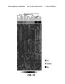 TISSUE-SPECIFIC MICRORNAS AND COMPOSITIONS AND USES THEREOF diagram and image