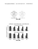 TISSUE-SPECIFIC MICRORNAS AND COMPOSITIONS AND USES THEREOF diagram and image