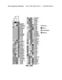 TISSUE-SPECIFIC MICRORNAS AND COMPOSITIONS AND USES THEREOF diagram and image