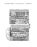 TISSUE-SPECIFIC MICRORNAS AND COMPOSITIONS AND USES THEREOF diagram and image