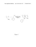 STIMULUS RESPONSIVE POLYMERS FOR THE PURIFICATION OF BIOMOLECULES diagram and image