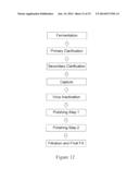 STIMULUS RESPONSIVE POLYMERS FOR THE PURIFICATION OF BIOMOLECULES diagram and image