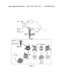 Galectin-Immunoglobulin Chimeric Molecules diagram and image