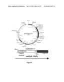 Galectin-Immunoglobulin Chimeric Molecules diagram and image