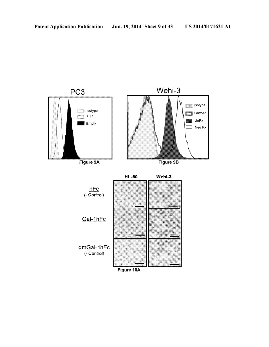 Galectin-Immunoglobulin Chimeric Molecules - diagram, schematic, and image 10