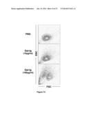 Galectin-Immunoglobulin Chimeric Molecules diagram and image