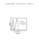 Galectin-Immunoglobulin Chimeric Molecules diagram and image