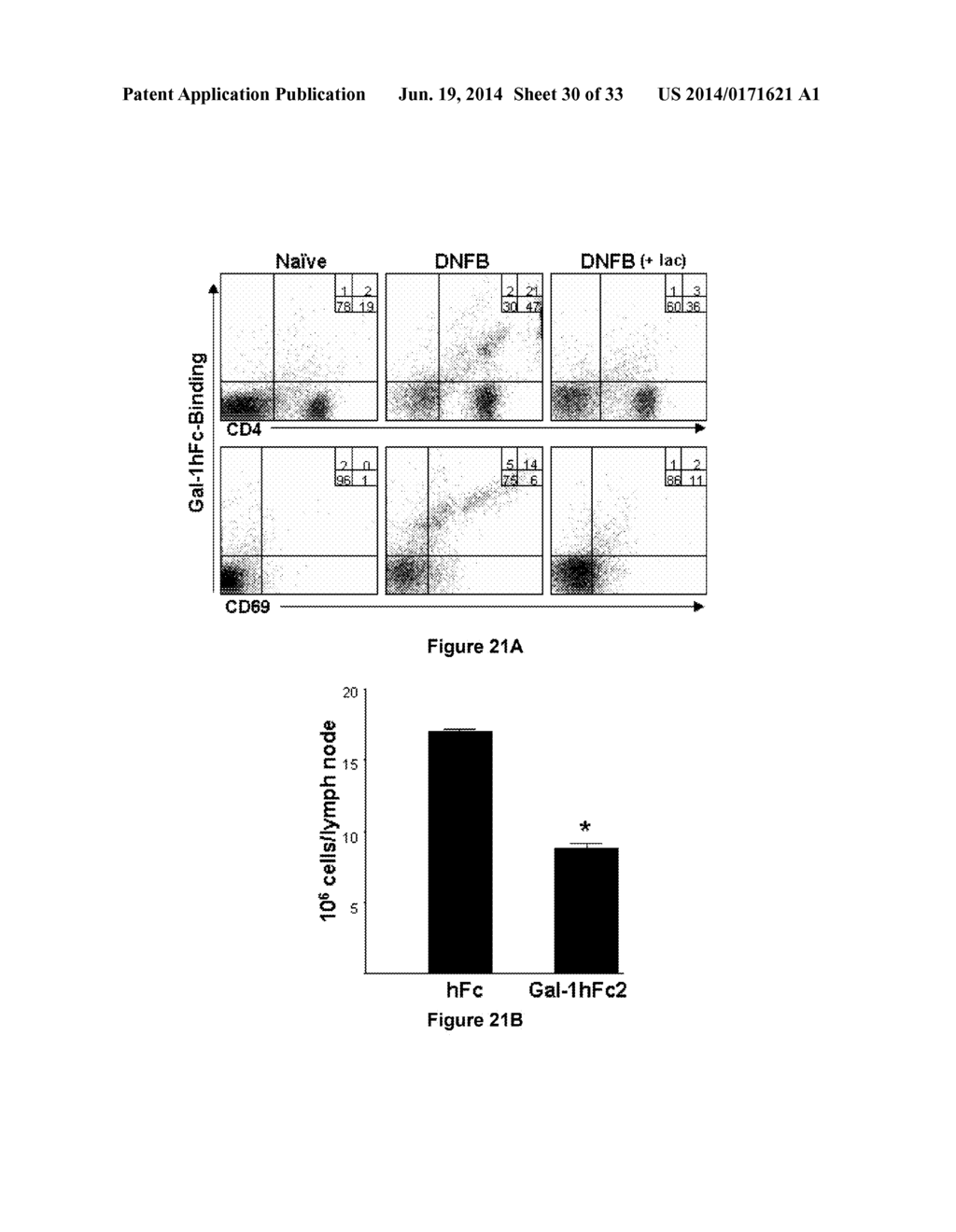 Galectin-Immunoglobulin Chimeric Molecules - diagram, schematic, and image 31