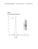 FUSION PROTEINS FORMING TRIMERS diagram and image