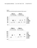 FUSION PROTEINS FORMING TRIMERS diagram and image