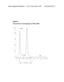 FUSION PROTEINS FORMING TRIMERS diagram and image