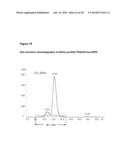 FUSION PROTEINS FORMING TRIMERS diagram and image