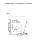 FUSION PROTEINS FORMING TRIMERS diagram and image