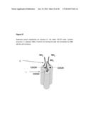 FUSION PROTEINS FORMING TRIMERS diagram and image