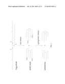 PROCESS FOR MAKING SATURATED HYDROCARBONS FROM RENEWABLE FEEDS diagram and image