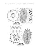 Nanoparticle-sized Magnetic Absorption Enhancers having Three-Dimensional     Geometries Adapted for Improved Diagnostics and Hyperthermic Treatment diagram and image