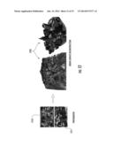 METHOD TO RECONSTRUCT A SURFACE FROM ORIENTED 3-D POINTS diagram and image