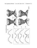 METHOD TO RECONSTRUCT A SURFACE FROM ORIENTED 3-D POINTS diagram and image