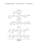 PREDICTION OF MOLECULAR BIOACTIVATION diagram and image