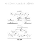 PREDICTION OF MOLECULAR BIOACTIVATION diagram and image