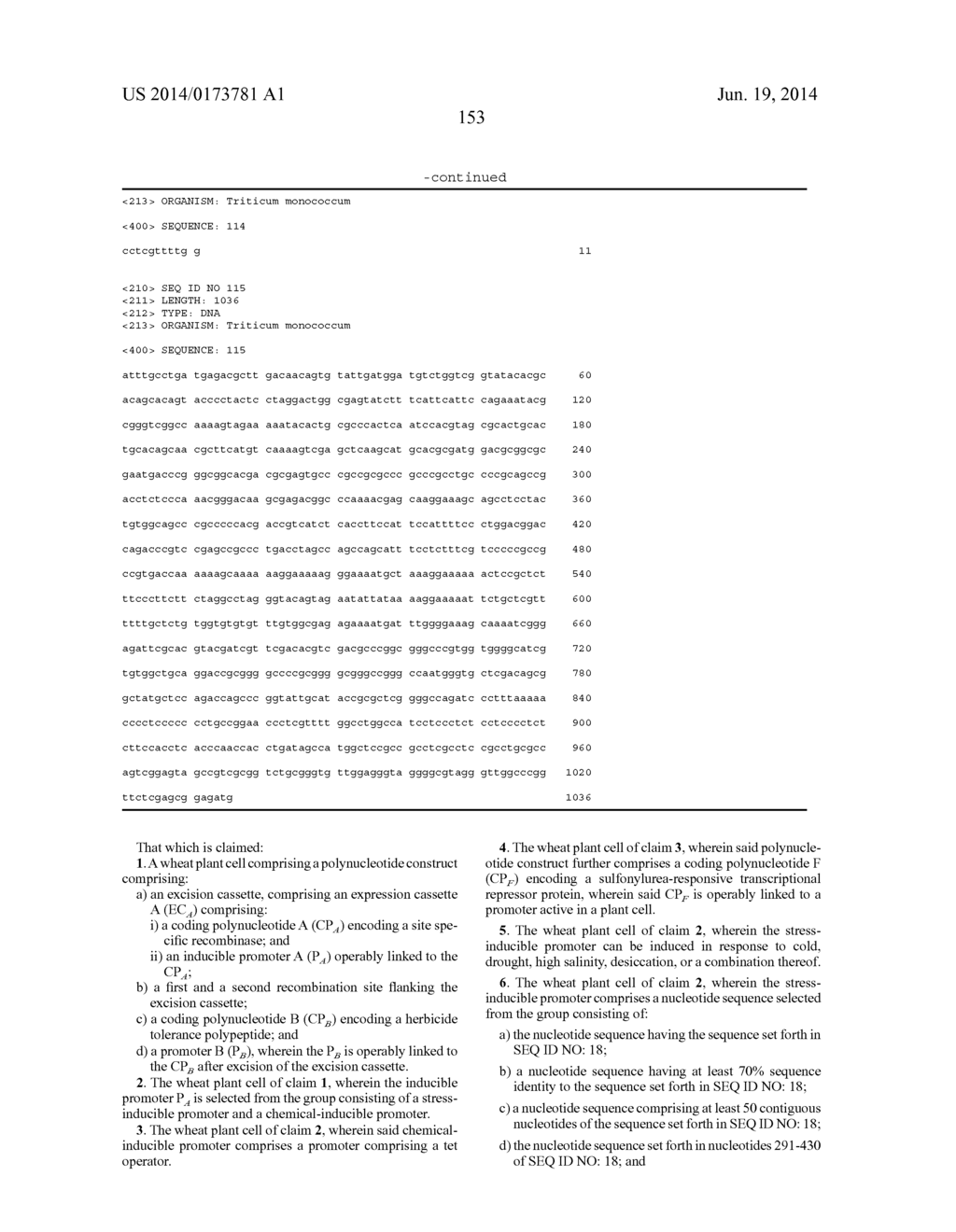 METHODS AND COMPOSITIONS FOR PRODUCING AND SELECTING TRANSGENIC WHEAT     PLANTS - diagram, schematic, and image 163