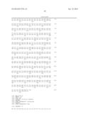 METHODS AND COMPOSITIONS FOR PRODUCING AND SELECTING TRANSGENIC WHEAT     PLANTS diagram and image