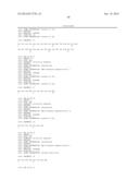 METHODS AND COMPOSITIONS FOR PRODUCING AND SELECTING TRANSGENIC WHEAT     PLANTS diagram and image