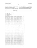 Maize Cellulose Synthases and Uses Thereof diagram and image