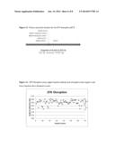 PRECISION GENE TARGETING TO A PARTICULAR LOCUS IN MAIZE diagram and image