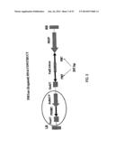 REDUCED RISK TOBACCO PRODUCTS AND METHODS OF MAKING SAME diagram and image