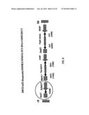 REDUCED RISK TOBACCO PRODUCTS AND METHODS OF MAKING SAME diagram and image