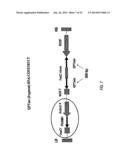 REDUCED RISK TOBACCO PRODUCTS AND METHODS OF MAKING SAME diagram and image