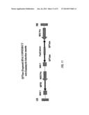 REDUCED RISK TOBACCO PRODUCTS AND METHODS OF MAKING SAME diagram and image