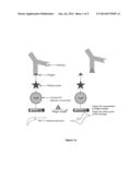 ELECTROCHEMICAL AFFINITY SENSOR diagram and image