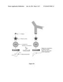 ELECTROCHEMICAL AFFINITY SENSOR diagram and image