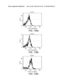 Diagnosing and Treating Inflammatory Diseases diagram and image