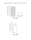 Diagnosing and Treating Inflammatory Diseases diagram and image