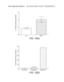 Diagnosing and Treating Inflammatory Diseases diagram and image