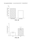 Diagnosing and Treating Inflammatory Diseases diagram and image