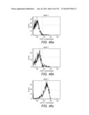 Diagnosing and Treating Inflammatory Diseases diagram and image