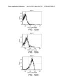 Diagnosing and Treating Inflammatory Diseases diagram and image