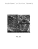 PIEZOELECTRIC DEVICE diagram and image