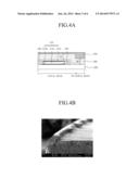 Organic Light Emitting Diode Display Device diagram and image