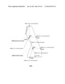 Method and Apparatus for Interprocessor Communication Employing Modular     Space Division diagram and image