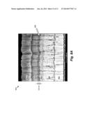 ELECTROCHROMIC DEVICES diagram and image