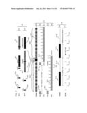 Inter-diver signaling device and process diagram and image