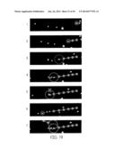 METHODS AND APPARATI FOR NONDESTRUCTIVE DETECTION OF UNDISSOLVED PARTICLES     IN A FLUID diagram and image