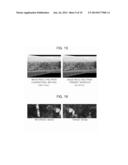 HOMOGRAPHY ESTIMATION APPARATUS AND METHOD diagram and image